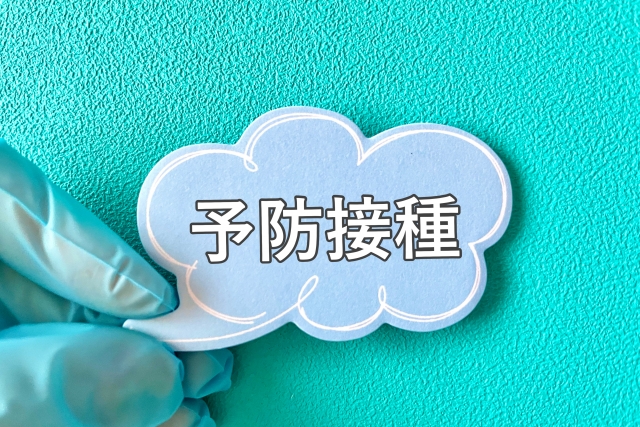 delfino(デルフィーノ) 