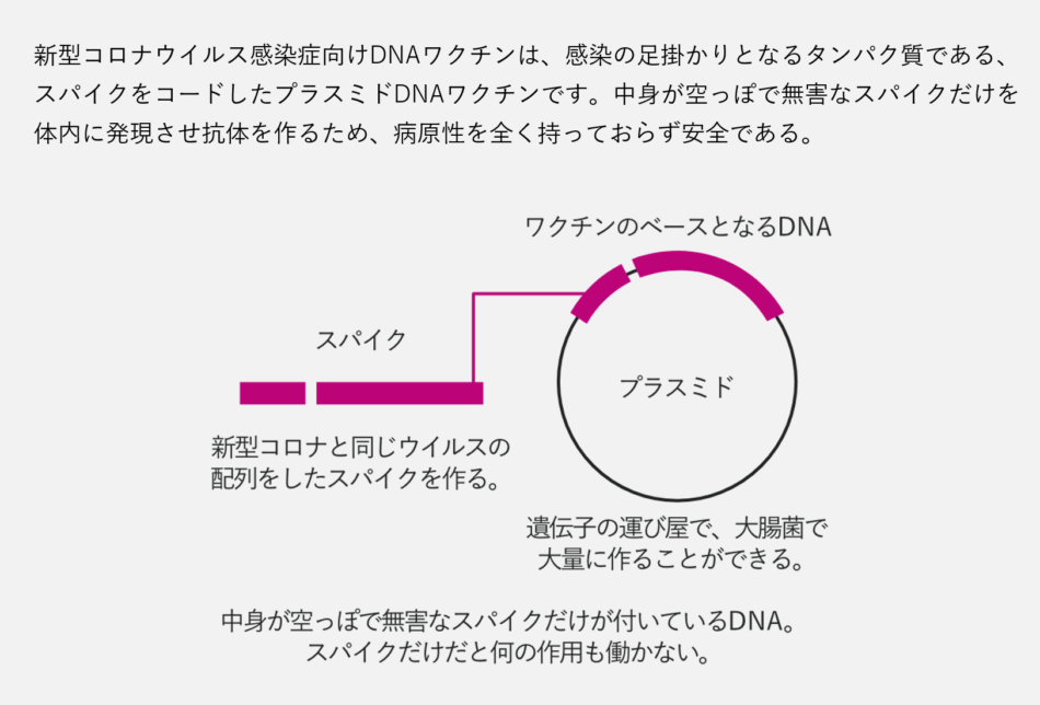 大阪のバイオベンチャーであるアンジェス社のDNAワクチン技術について図解しています。